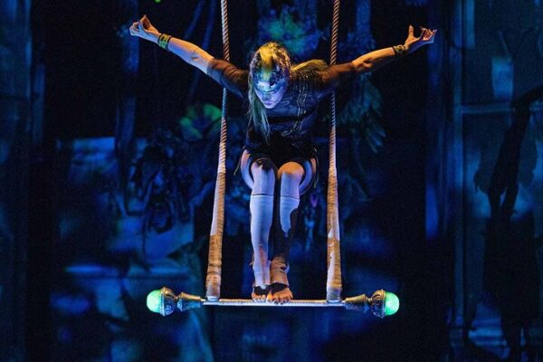 Cirque du soleil LA JOYA + Transporte - Imagen 11